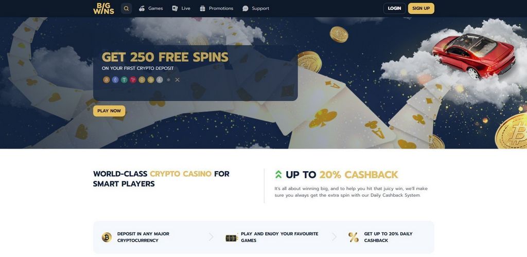 BigWins Casino: Gamer Scores & Our Verdict