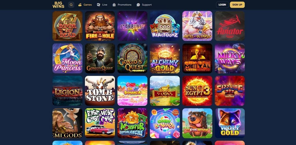 BigWins Gambling Establishment Testimonial 2025 - Exclusive Perk & Games